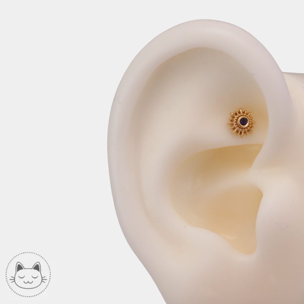 Piercing BVLA Mini Compass amethyste sombre 6 mm pour helix et tragus
