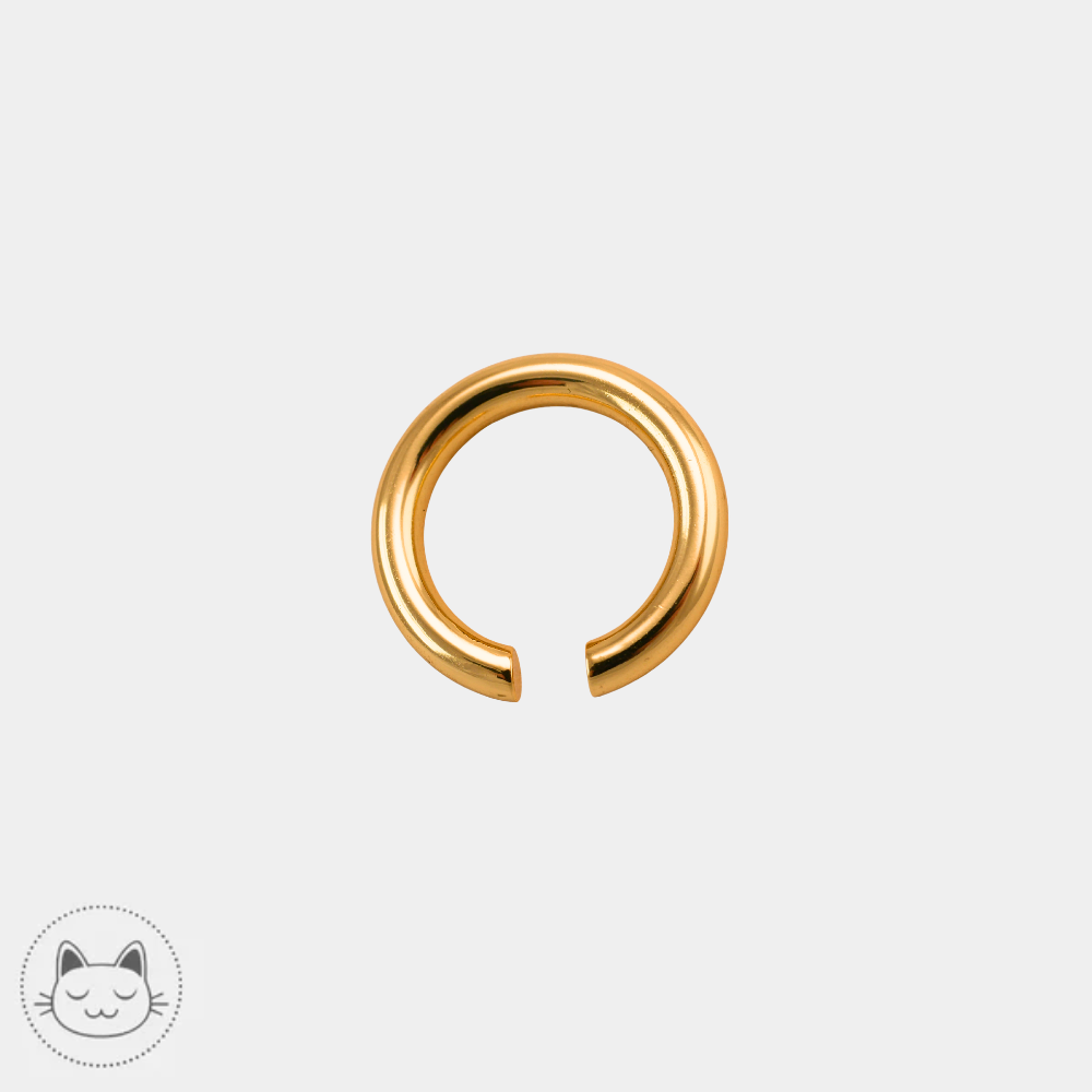 Tawapa - Hollow Hoop



Poid en laiton plaqué or 14k, diamètre de 5 mm.