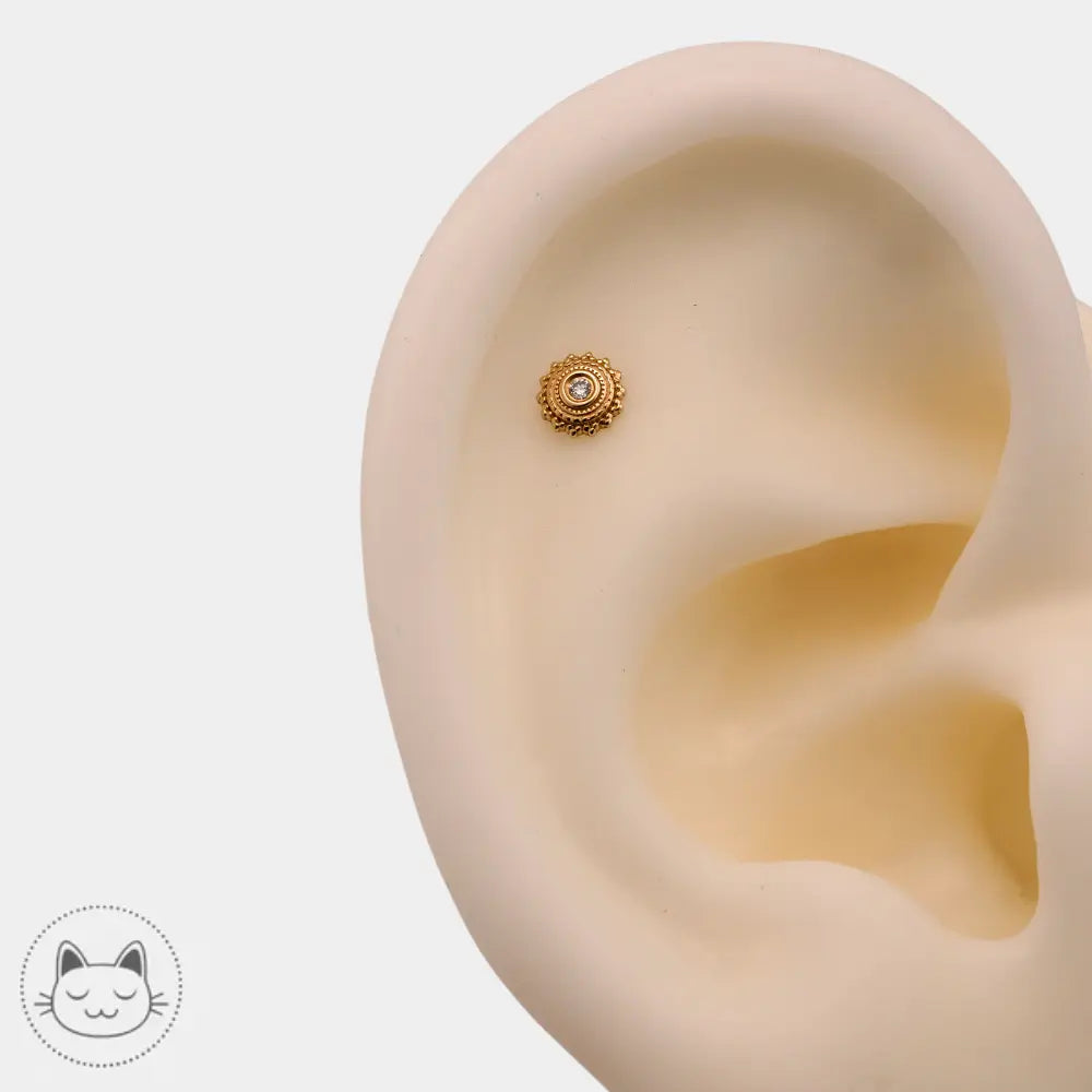 BVLA - Afghan - Diamant blanc & Or jaune - Kawaii Place piercing