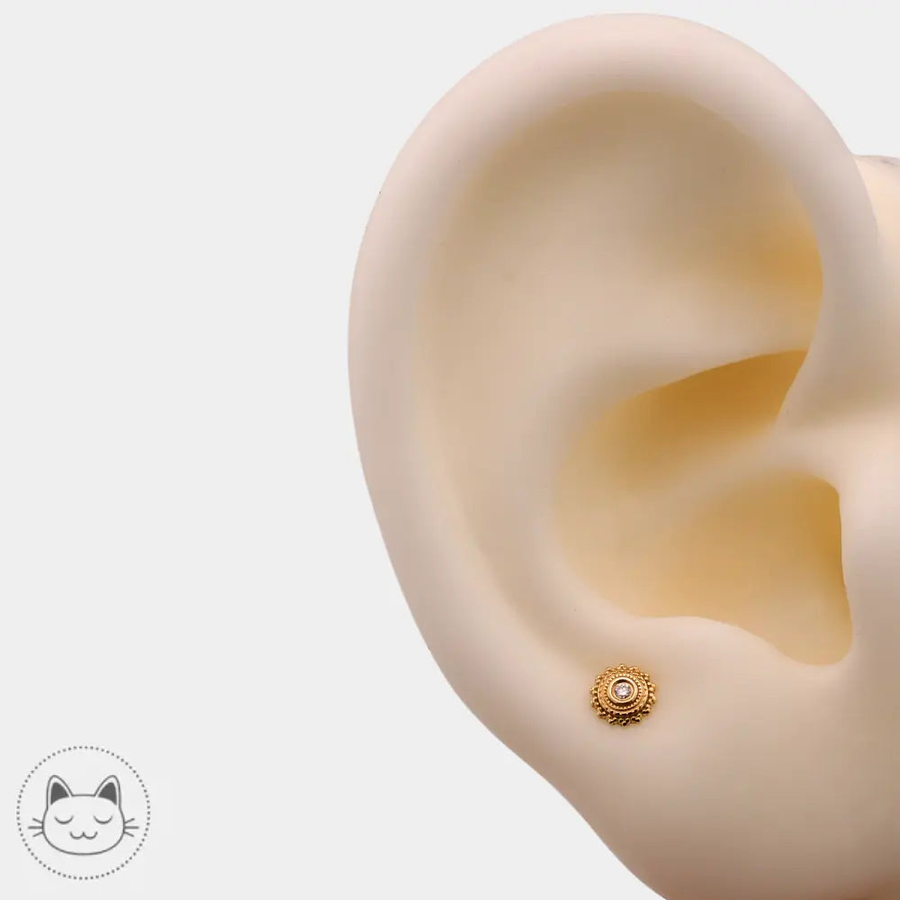 BVLA - Afghan - Diamant blanc & Or jaune - Kawaii Place piercing