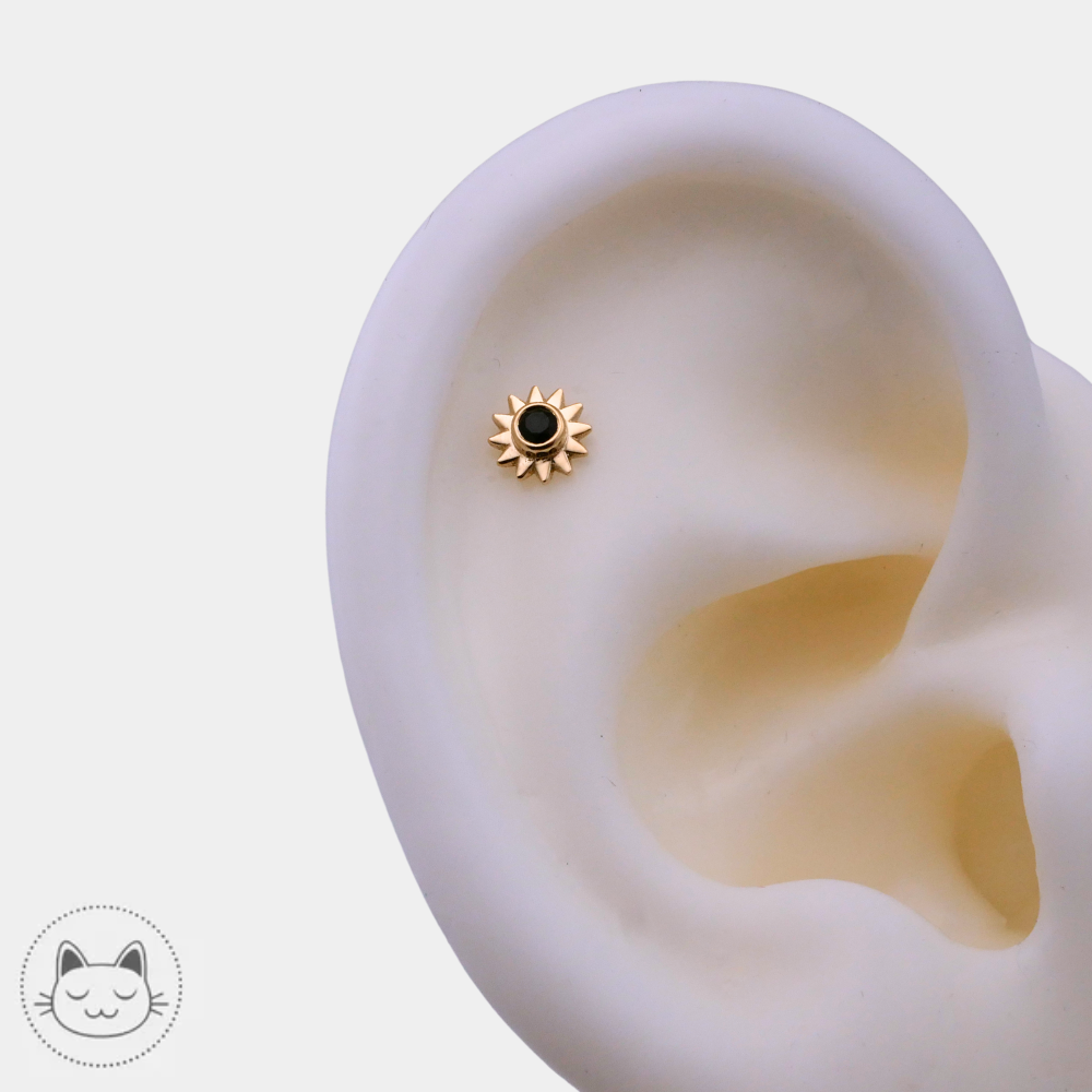 Détail du BVLA Sun or 14k onyx facetté