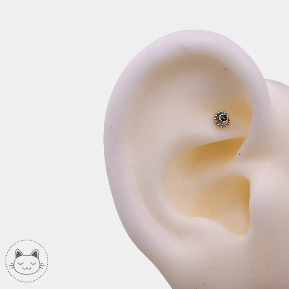 Piercing BVLA en or blanc avec diamant noir modèle Tiny Beaded Swirl