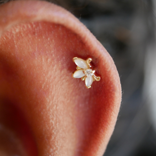 Auris- Cabochon "Royal Lily"- Or jaune, Zircon blanc et Perles.
