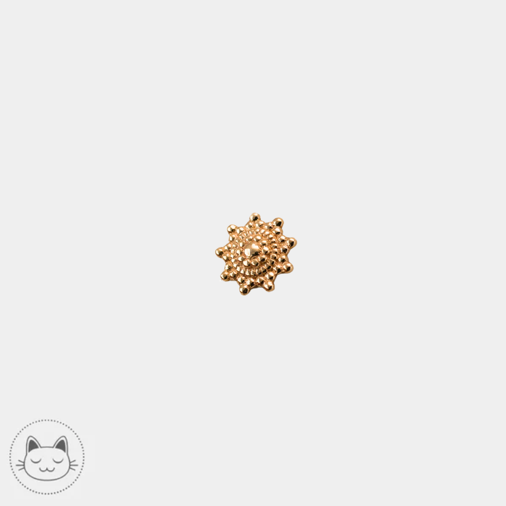 Piercing Naga Belladona en or jaune 14K pour tragus et conch chez Kawaii Place Lille