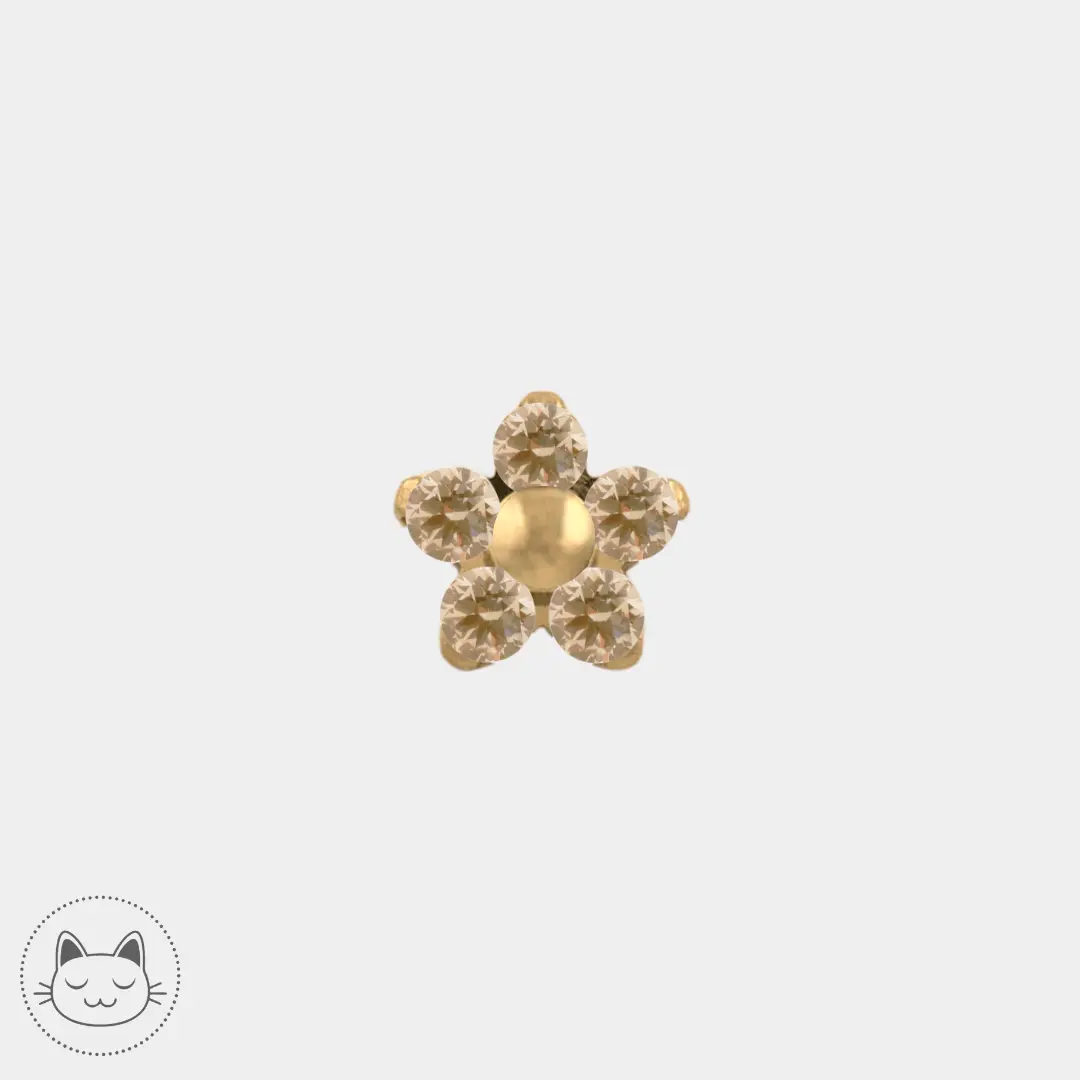 Piercing NeoMetal Flower zircons champagne en titane