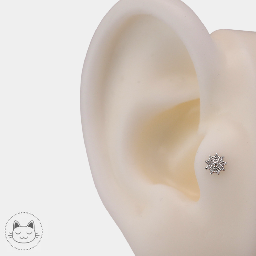 Piercing nostril Naga Belladona en or blanc 14 carats chez Kawaii Place Lille