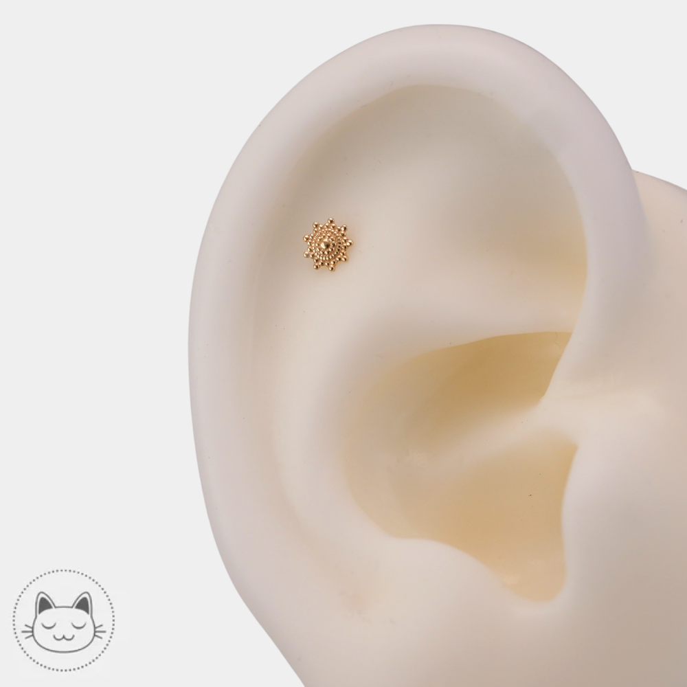 Piercing lobe Naga Belladona en or jaune 14 carats chez Kawaii Place Lille