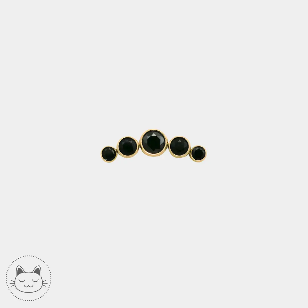 Bijou LeRoi 6T en titane avec zircons noirs, adapté au flat ou à l’hélix, disponible dans notre studio de piercing Kawaii Place à Lille.