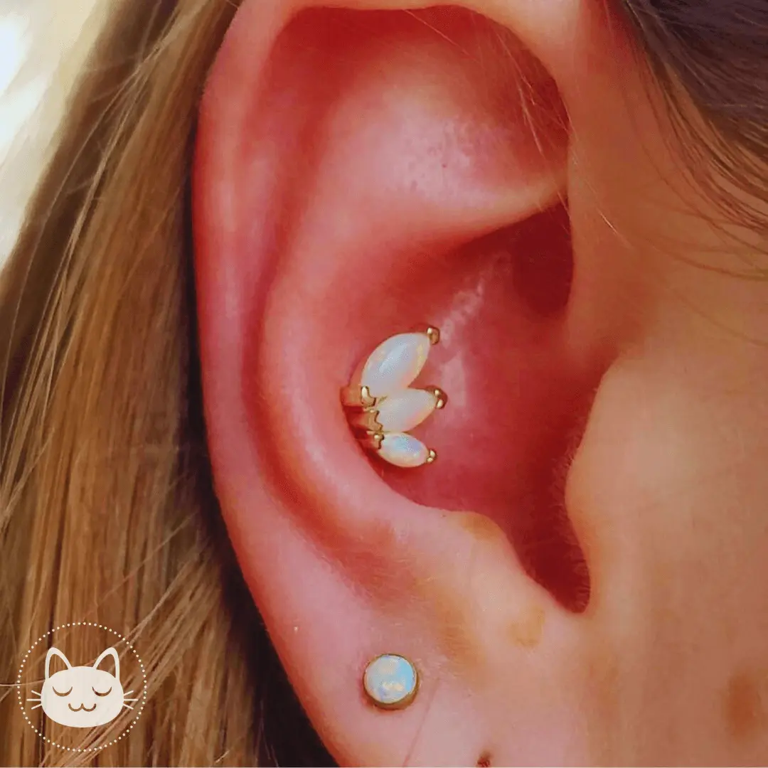 BVLA - Tiny French Kiss - Rhodolites - Kawaii Place piercing 