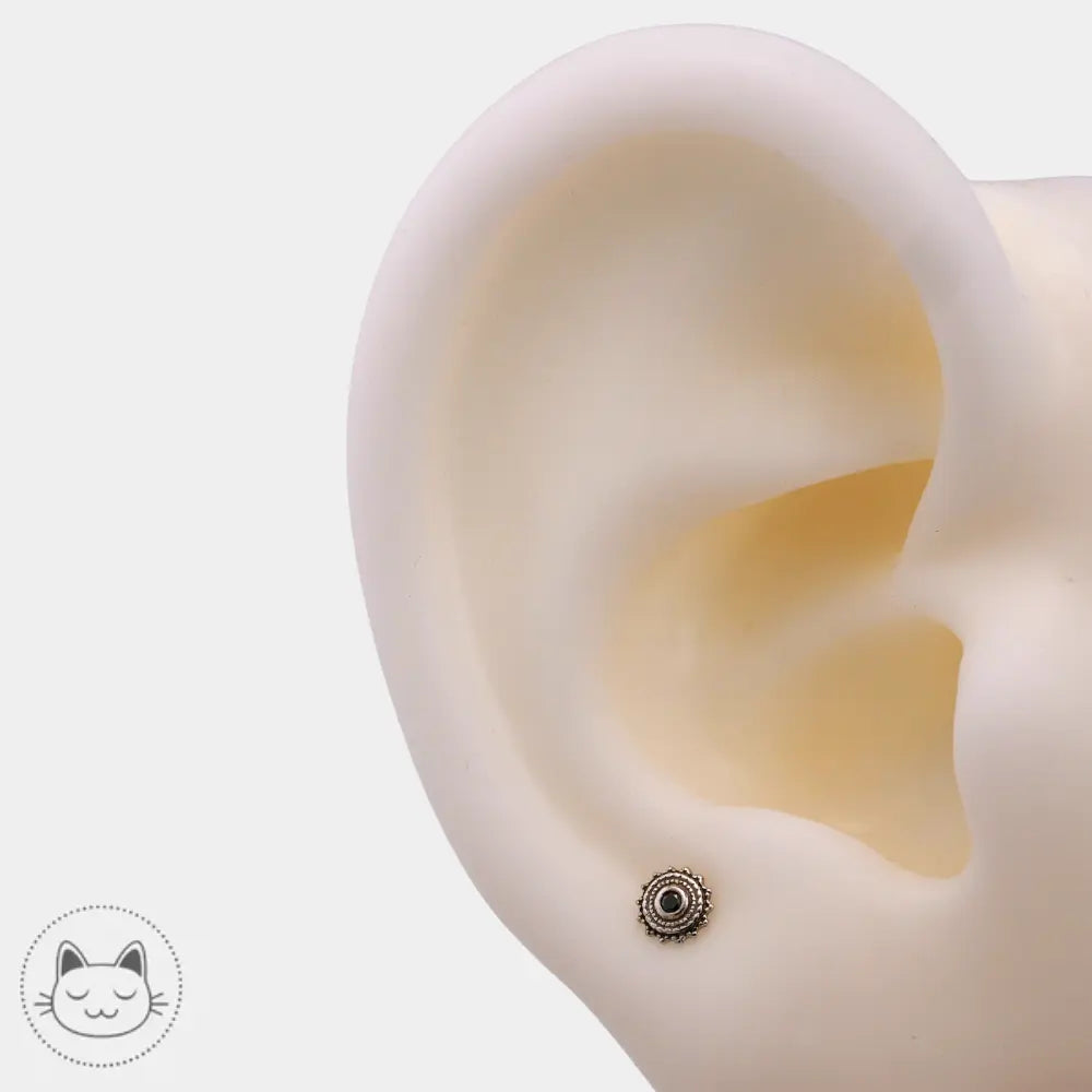 BVLA - Afghan - Or blanc et Diamant noir - Kawaii Place piercing