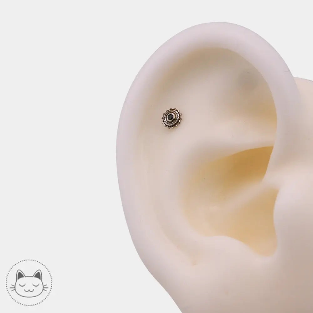 BVLA - Afghan - Or blanc et Diamant noir - Kawaii Place piercing