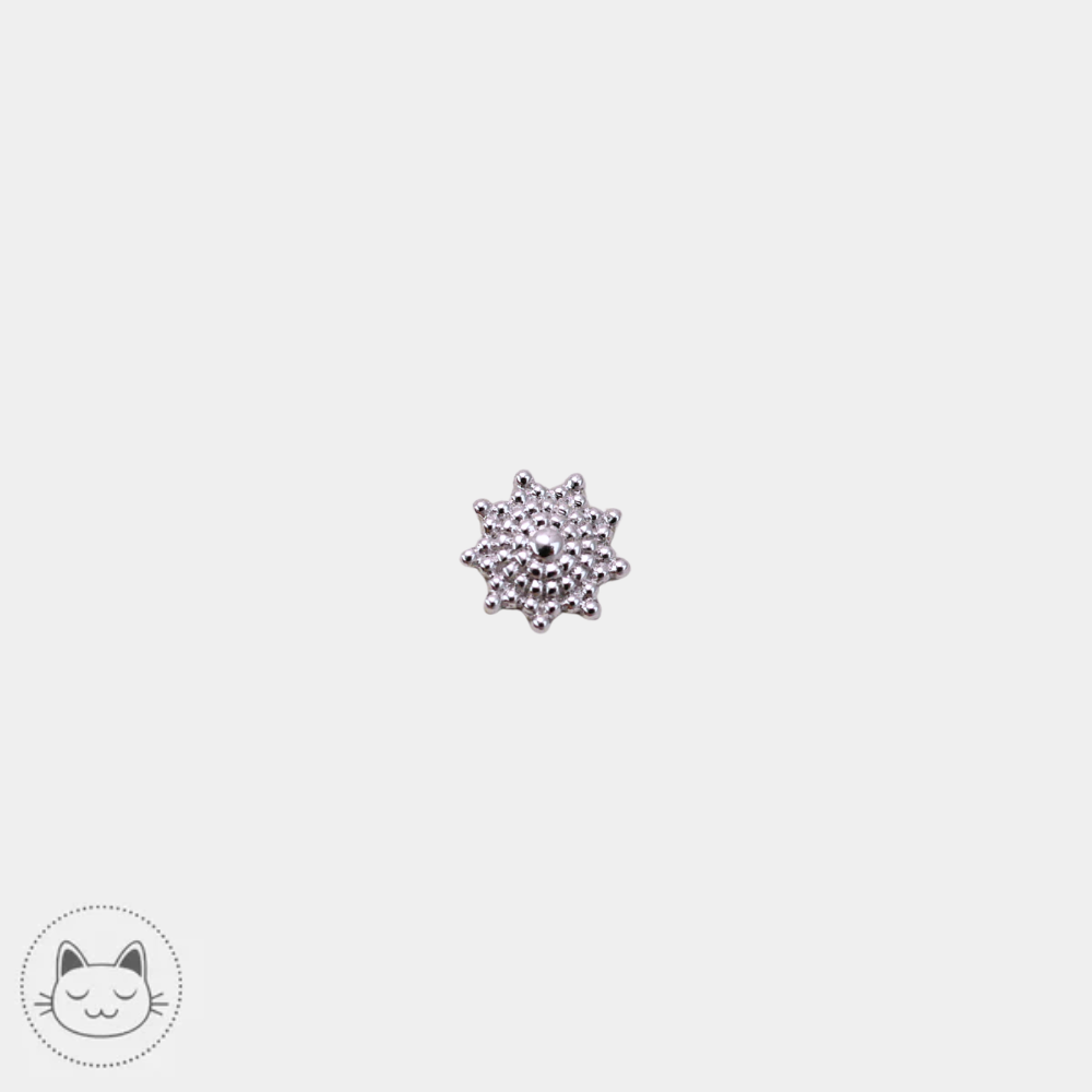 Bijou piercing Naga Belladona en or blanc 14 carats pour helix disponible à Lille chez Kawaii Place