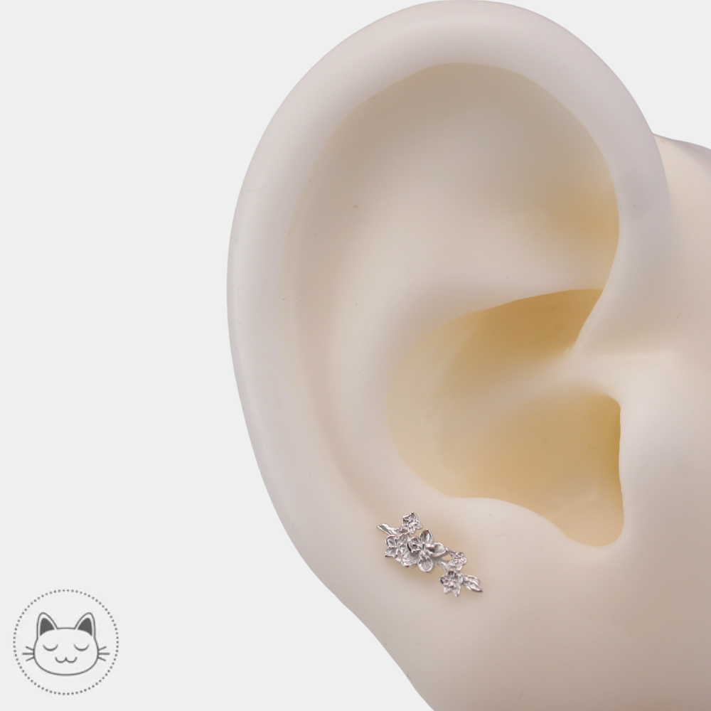 Bijou piercing Naga Sakura Sprig en or blanc 14 carats pour conch disponible à Lille chez Kawaii Place