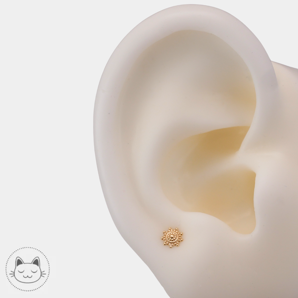 Bijou de piercing Belladona Naga en or jaune pour labret et médusa disponible à Lille
