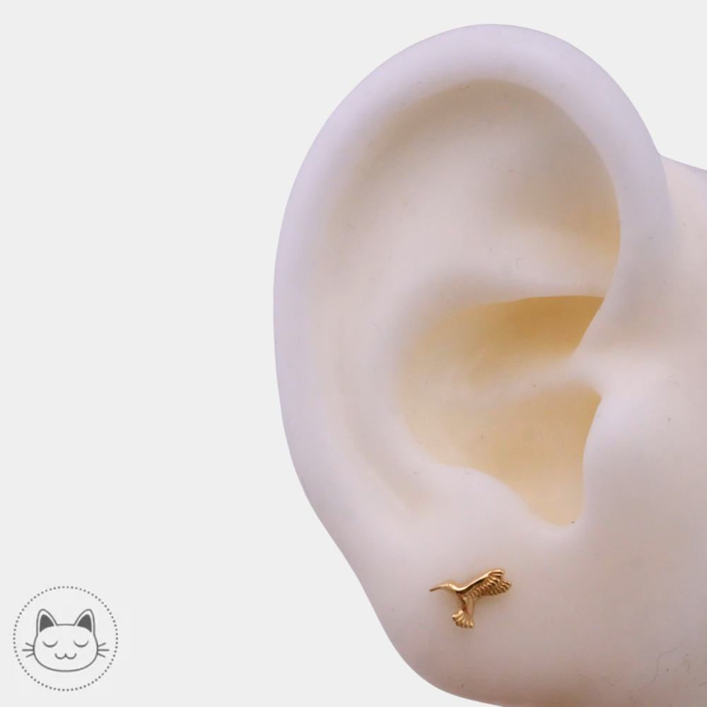 Bijou BVLA Humming Bird orientation gauche ou droite