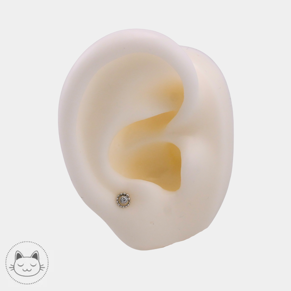 Piercing BVLA modèle Tiny Beaded Swirl en or blanc 14k diamant blanc