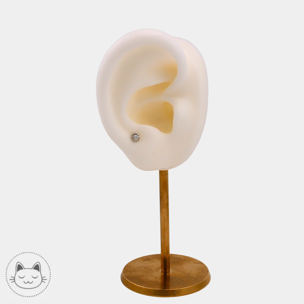 Piercing BVLA modèle Tiny Beaded Swirl en or blanc 14k diamant blanc